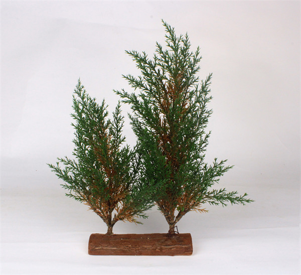 Pine Tree with Wood Base3.jpg